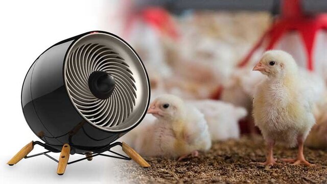 طراحی سیستم‌های گرمایشی در سالن‌های پرورش طیور