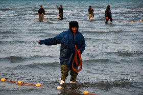 ماهیگیران همه روزه تورهای ماهیگیری را در آب‌های کم عمق ساحل پهن کرده و در انتهای روز آن‌ها را جمع‌ می‌کنند.