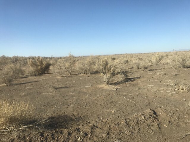 سرعت بیابانزایی ۵ برابر مطالعات ماست/هنوز طرح جامعی برای مدیریت بیابان نداریم