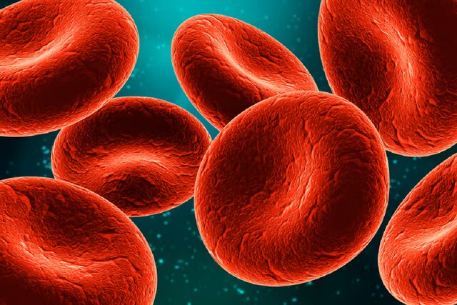 داروی آرتریت فرآیند پیری را در موشها معکوس میکند داروی آرتریت فرآیند پیری را در موشها معکوس میکند