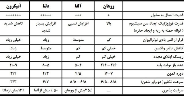 مقایسه جدیدترین جهش کرونا با سویههای قبلی/ آخرین اطلاعات از امیکرون XBB.۱.۵