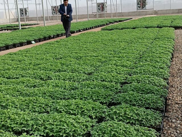 افتتاح طرحهای جهادکشاورزی استان یزد با حضور مشاور وزیر