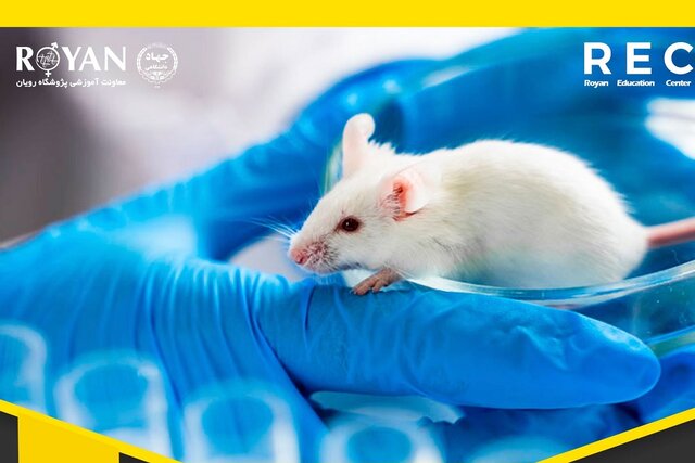 دومین کارگاه اصول اخلاق و کار با حیوانات آزمایشگاهی در پژوهش