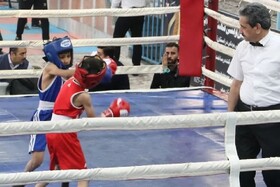 ۴ بوکسور استان قزوین در اردوی تیم ملی