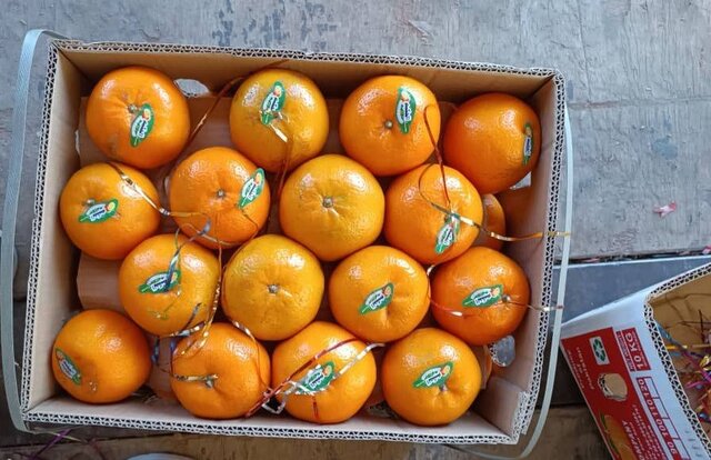 از توزیع مرغ کشتارگاههای مازندران در کشور تا صادرات نارنگی به کشورهای همسایه