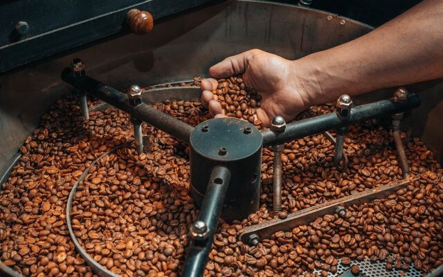 قیمت دانه قهوه عمده و خرید آن در نسکافه آنلاین