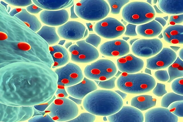 هوش مصنوعی چگونه درک ما از سیستم ایمنی را ارتقا میبخشد؟ هوش مصنوعی چگونه درک ما از سیستم ایمنی را ارتقا میبخشد؟