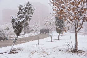 صبح برفی سمنان