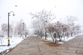 صبح برفی سمنان