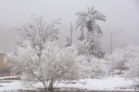 صبح برفی سمنان