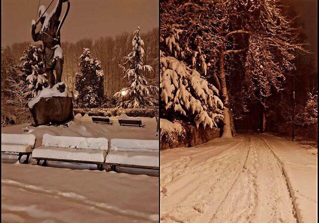 کاخ سعدآباد زیر برف یکشنبه ۲۳ بهمنماه ادامه تعطیلی کاخهای نیاوران و سعدآباد