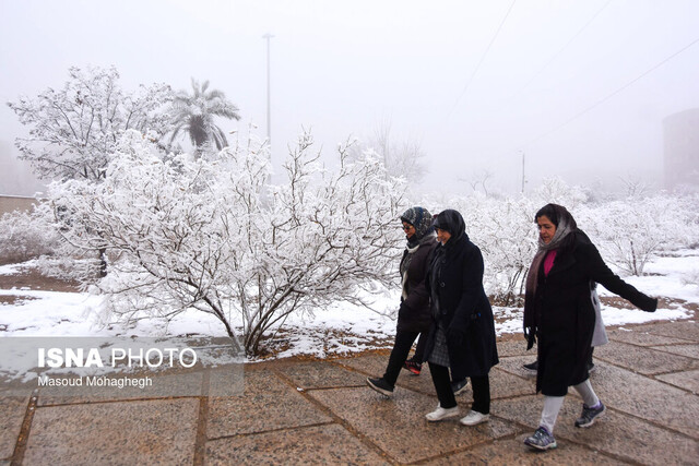 تداوم بارندگی‌ها در سمنان تا ۲روز آینده/ بیشترین بارش برف و باران در استان