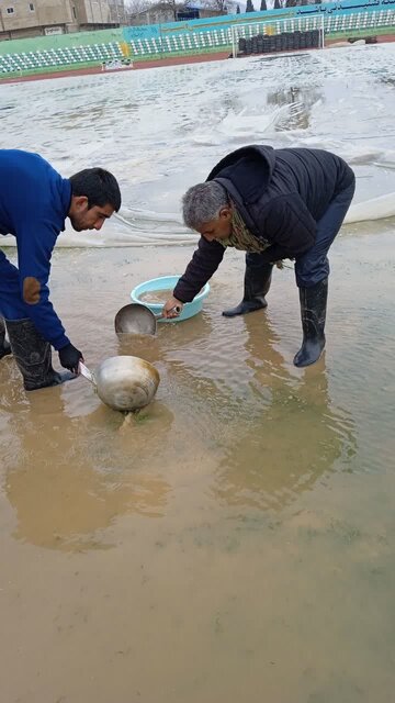 مالک خیبر فرافکنی میکند/ نمیتوانند زمین چمنی را نگهداری کنند