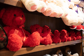 ماجرای نفوذ خرس‌های قرمز!