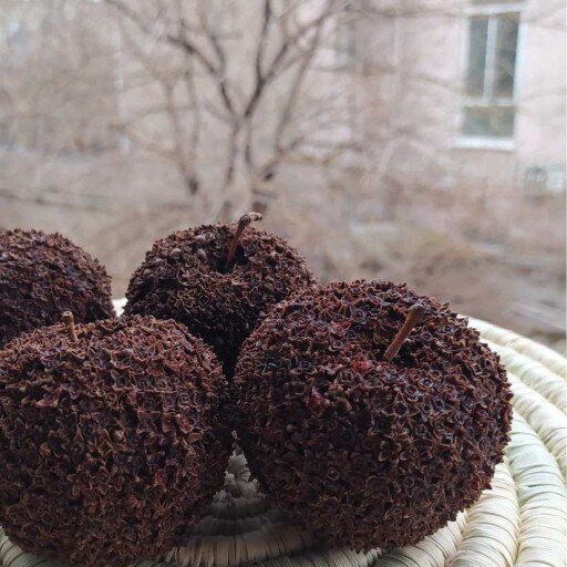 سیب میخک کوب؛ نماد عشق کردستانی ها