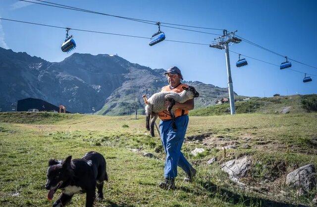 آلپ و بحران اقلیم