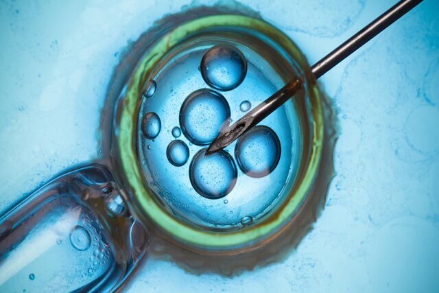 حل مشکلات باروری با کمک نانوذرات حل مشکلات باروری با کمک نانوذرات