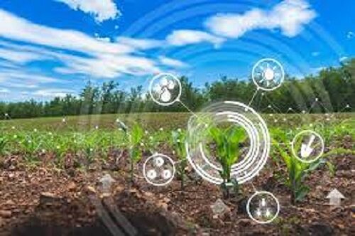 خشکسالی ادامهدار، ضرورت اجرای الگوی کشت را دوچندان میکند خشکسالی ادامهدار، ضرورت اجرای الگوی کشت را دوچندان میکند