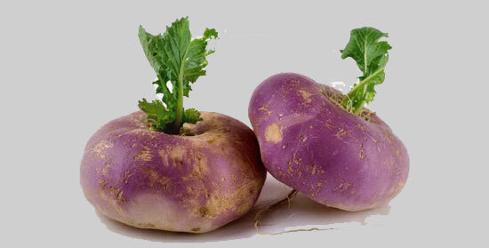 عکس تزیینی است. «شلغم» پنیسیلین دارد؟