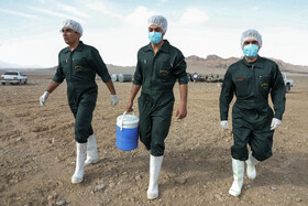 رزمایش جهادی دامپزشکی در شهرستان‌های عشایرخیز یزد