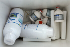 رزمایش جهادی دامپزشکی در شهرستان‌های عشایرخیز یزد