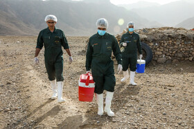 رزمایش جهادی دامپزشکی در شهرستان‌های عشایرخیز یزد