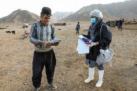 رزمایش جهادی دامپزشکی در شهرستان‌های عشایرخیز یزد