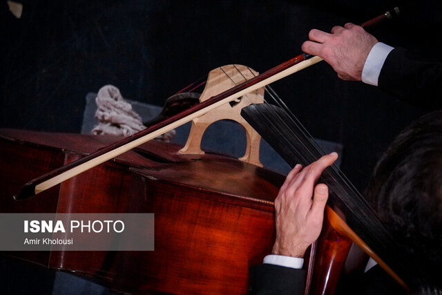 عکس تزیینی است نمایش ساز در شبکه نمایش خانگی ممنوع است؟