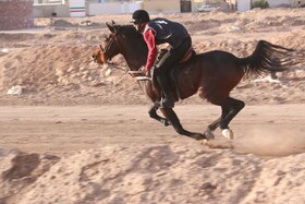 کورس اسب‌دوانی زمستانه در رفسنجان آغاز شد