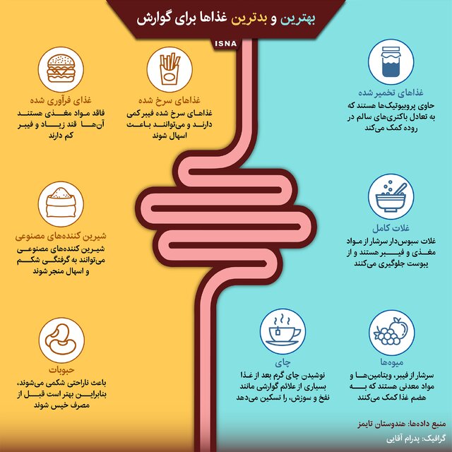 اینفوگرافیک / بهترین و بدترین غذاها برای گوارش