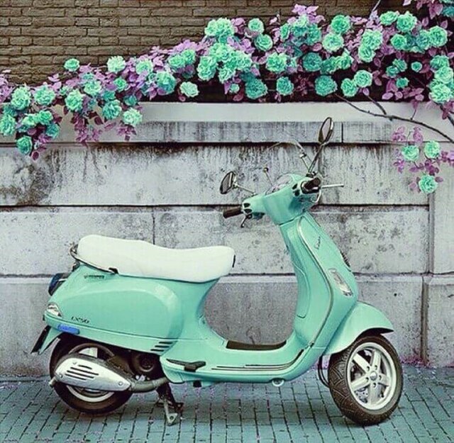 اجاره موتور در کیش