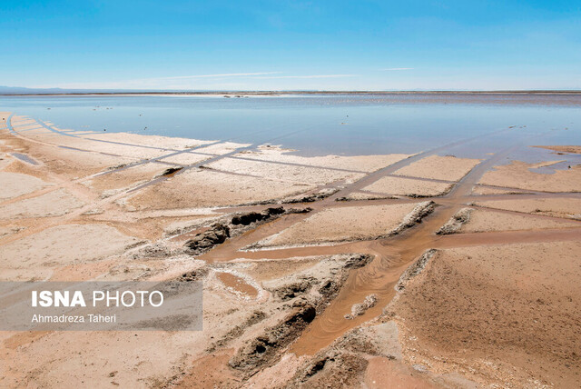 انتقال آب دریا به اصفهان؛ فصل تازه مطالبهگری هنرمندان برای گاوخونی و زایندهرود