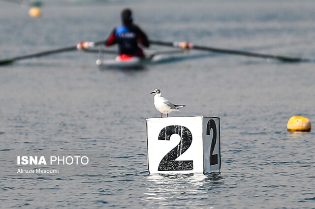 حضور پررنگ ورزشکاران زنجانی در اردوی تیم ملی روئینگ حضور پررنگ ورزشکاران زنجانی در اردوی تیم ملی روئینگ