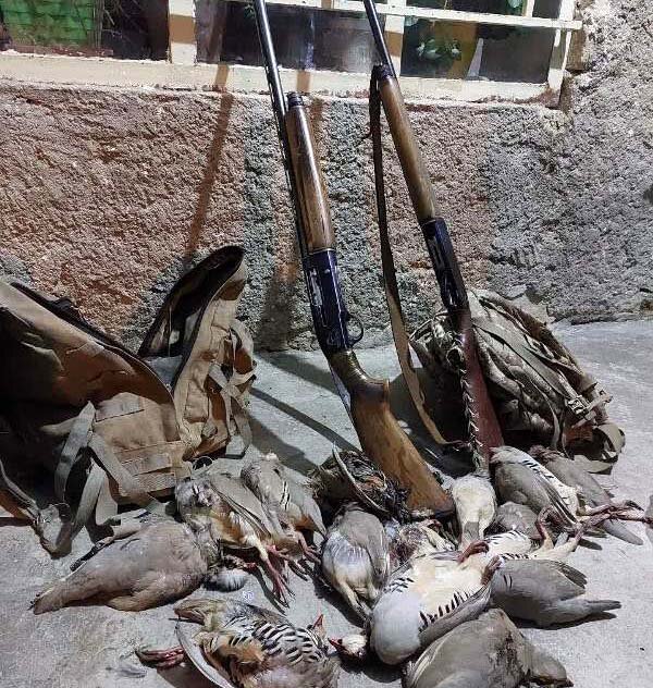 عکس خبر آرشیوی است شناسایی و دستگیری متخلف شکار کبک در فضای مجازی