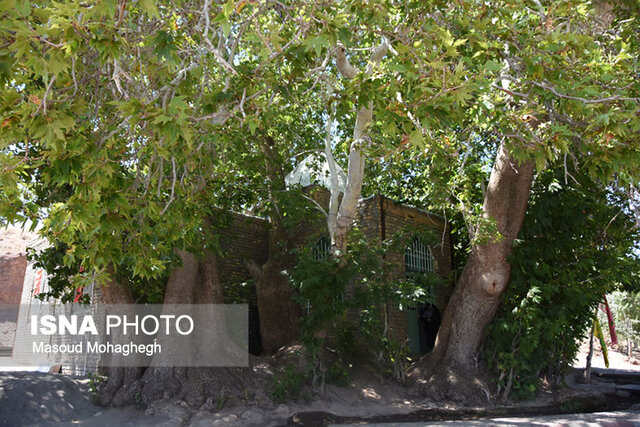 بقعه ارمیای نبی-ارمیان میامی
