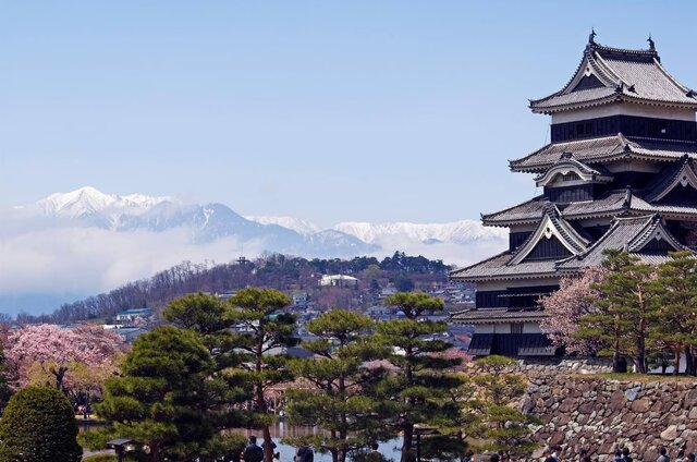 ژاپن دوباره صورتی میشود!