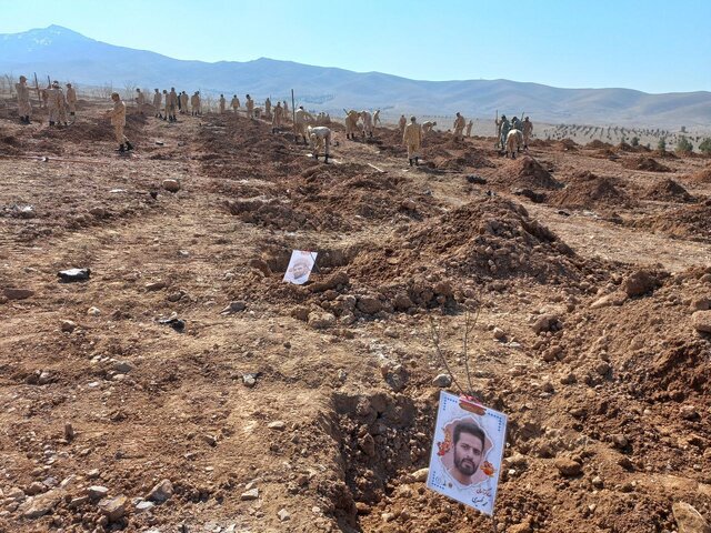 تاکید رییس سازمان منابع طبیعی بر اهمیت نهالکاری در ذخیرهسازی آب