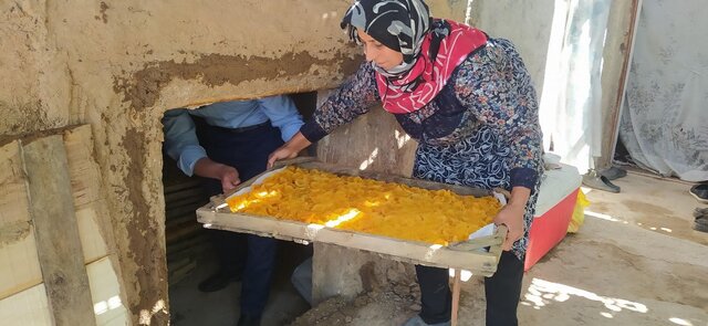 «برگه زردآلو» ثبت میشود؟