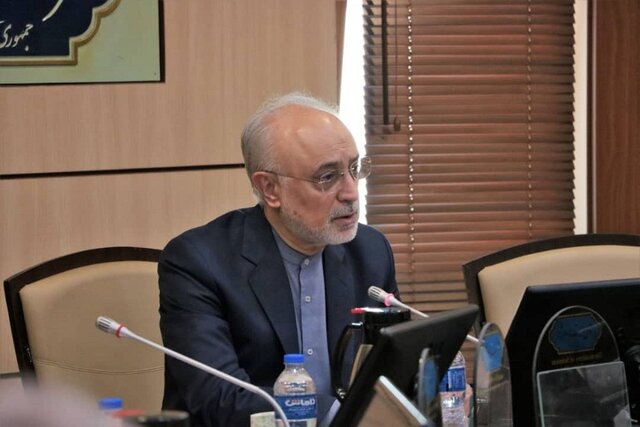 پیام تسلیت صالحی در پی درگذشت حسن غفوریفرد پیام تسلیت صالحی در پی درگذشت حسن غفوریفرد