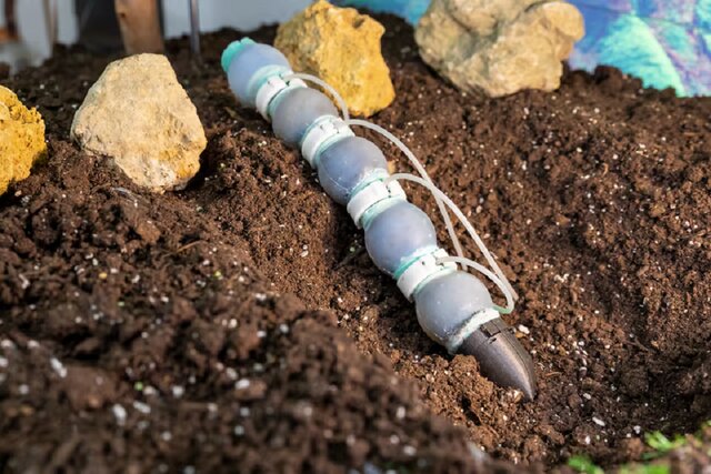 ابداع یک ربات کوچک با الهام از کرم خاکی ابداع یک ربات کوچک با الهام از کرم خاکی