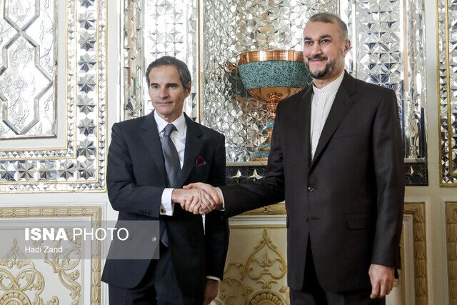 عکس: آرشیو گروسی با امیرعبداللهیان دیدار میکند