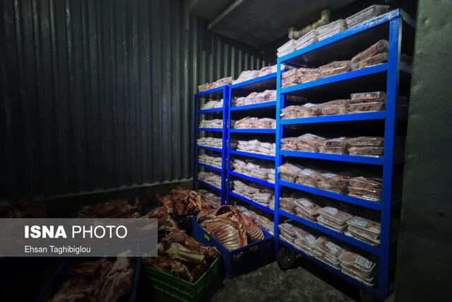 عکس آرشیوی است تعیین تکلیف وضعیت محمولههای گوشت، برنج و جو در بندر شهید رجایی ضروری است