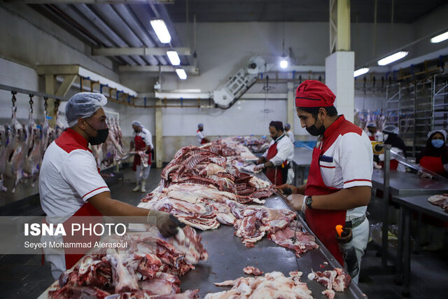 تولید بیش از ۲۳ هزار تن گوشت قرمز در خراسان رضوی طی سال جاری