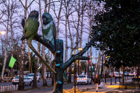 مجسمه دو طوطی در مسیر شیطان کوه لاهیجان که در خیابانی نصب شده است.