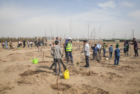 روز درختکاری در مشهد