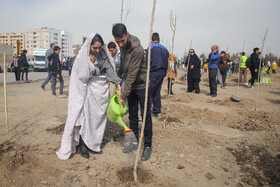 روز درختکاری در مشهد