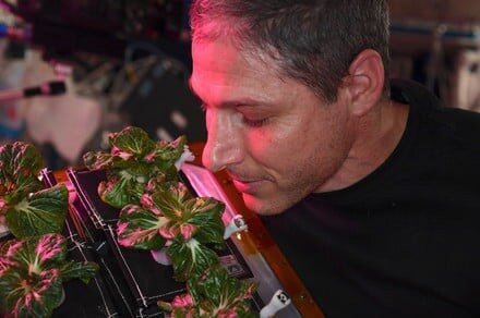 تاکنون چه گیاهانی در فضا رشد کردهاند؟