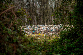 دپوی زباله در دل جنگلهای هیرکانی