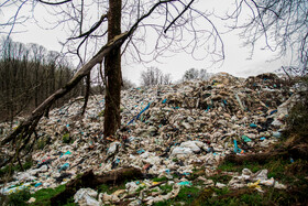 درختان اطراف منطقه دپو به علت بیماری ناشی از شیرابه و زباله از بین رفته اند یا در حال مرگ تدریجی هستند.