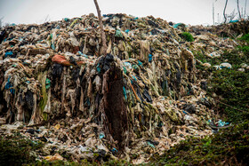 درختان به علت فروکش کردن شیرابه در خاک ابتدا دچار آفت و بیماری میشوند و پس از مدتی کاملا خشک میشوند و از بین میروند.